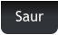 Saur